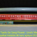 ＂Tianlu Ge Sang Flower · Linzhi Meeting＂ seyahat treninin ilk turu açılıyor
